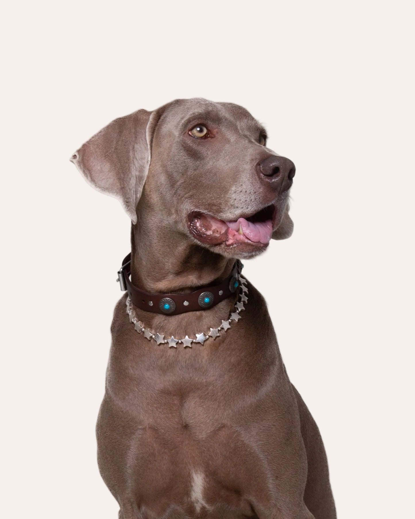 Pack Collar Terra + Estrellas Braco