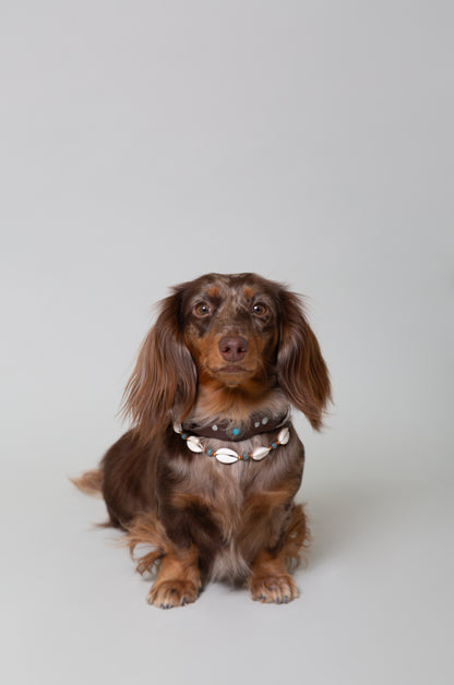 Collar Accesorio de Conchas