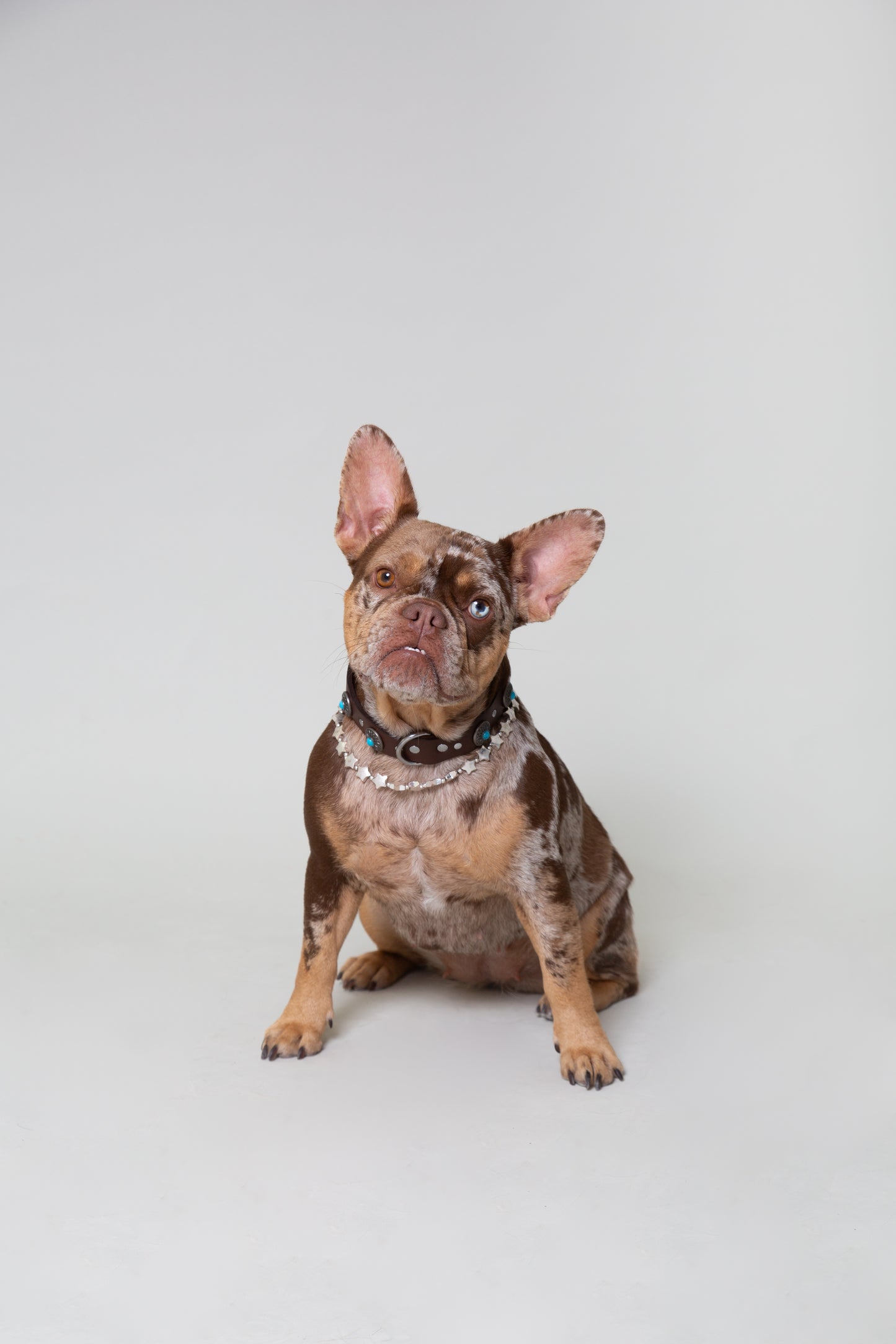 Collar Accesorio Estrellas Plateado