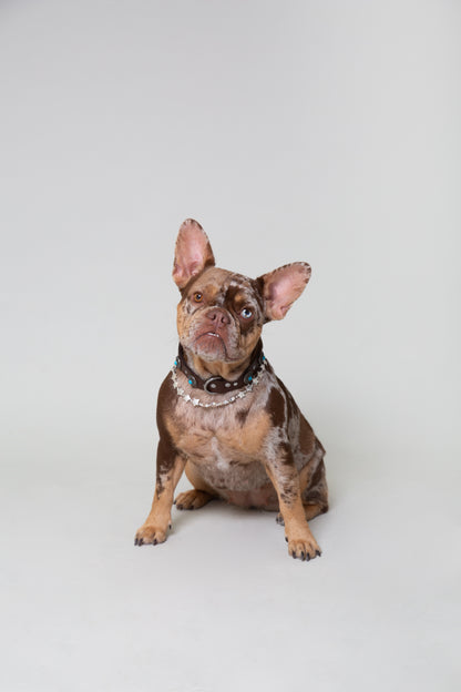 Collar Accesorio Estrellas Plateado