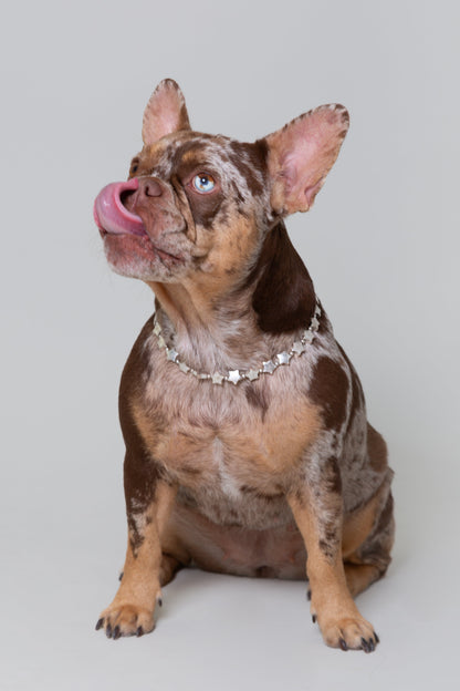 Collar Accesorio Estrellas Plateado