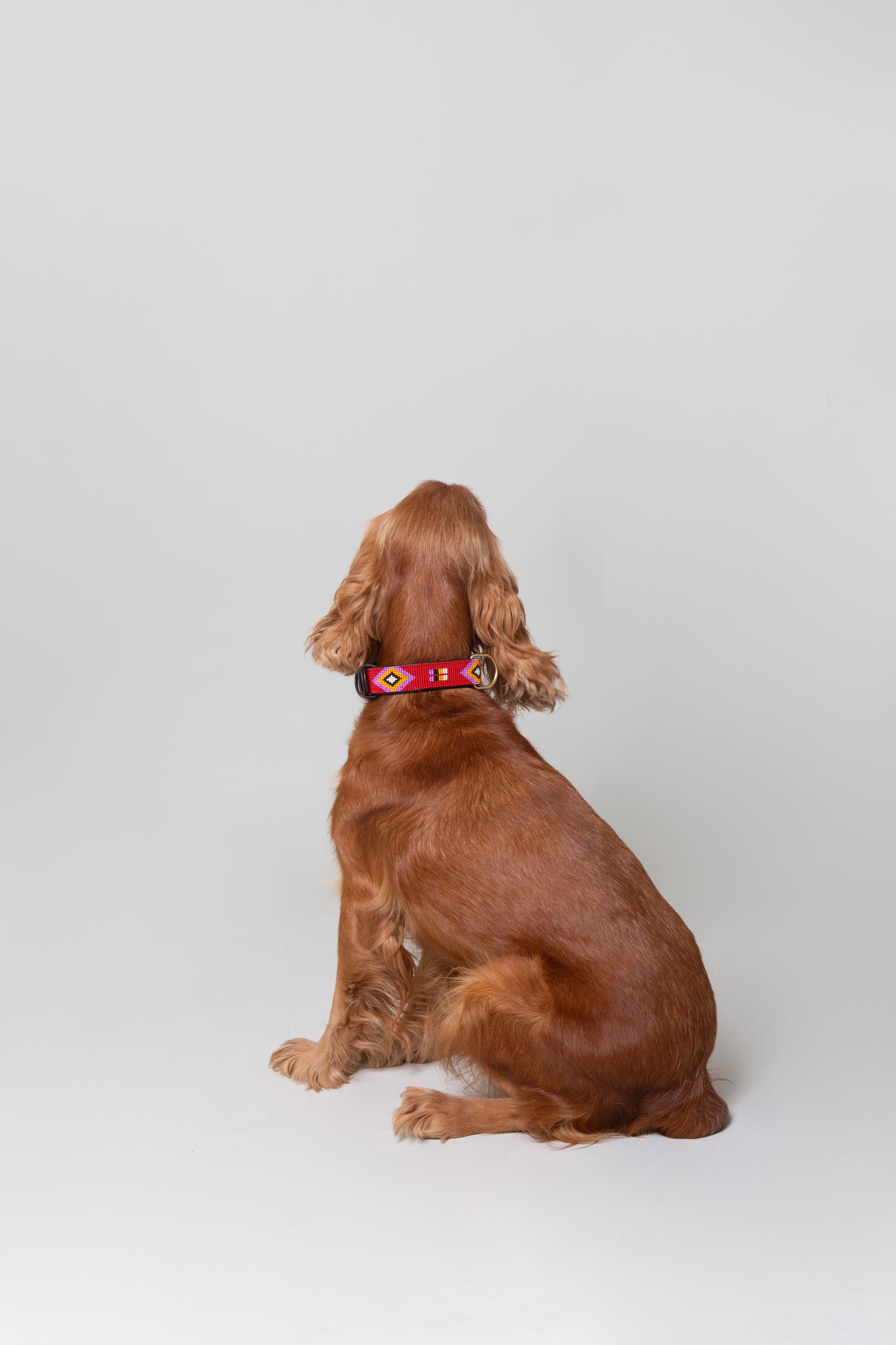 Pack: Collar Rojo + Conchas