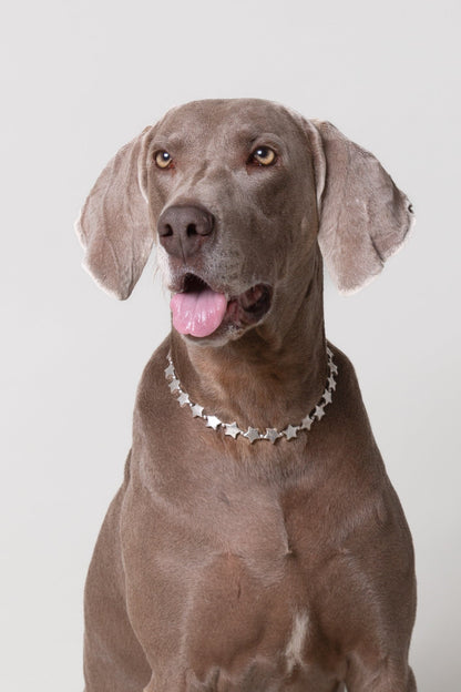 Collar Accesorio Estrellas Plateado