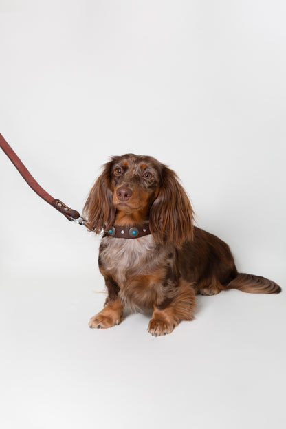 Braune Lederleine mit Nieten für Hunde