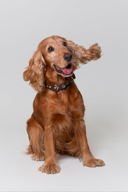 Collar de Tachuelas Turquesa