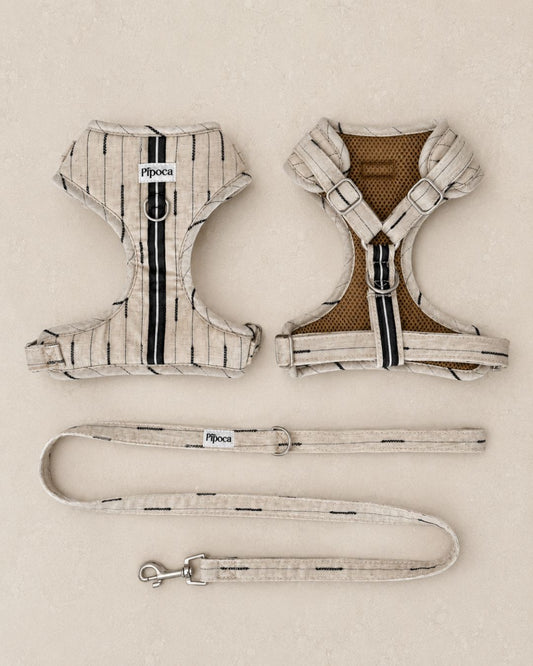 Nuua Salt & Sand Harness + Leash Pack