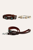 Pack Terra + Shells + Leash