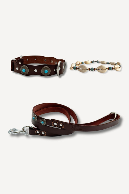 Pack: Collar Tachuelas + Conchas + Correa