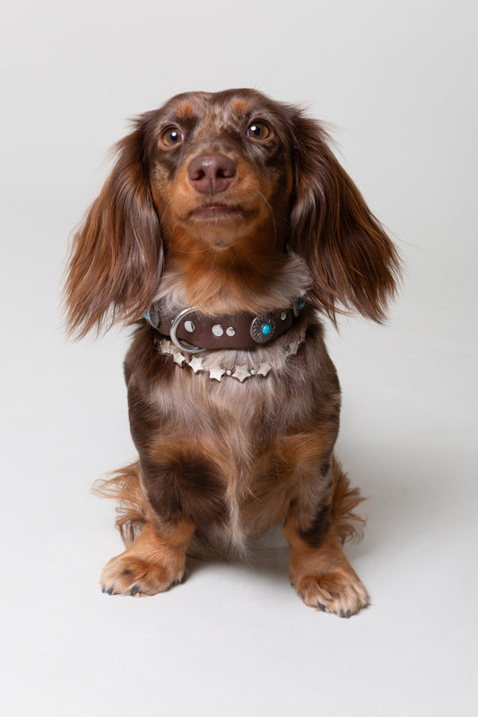 Pack: Tachuelas + Estrellas