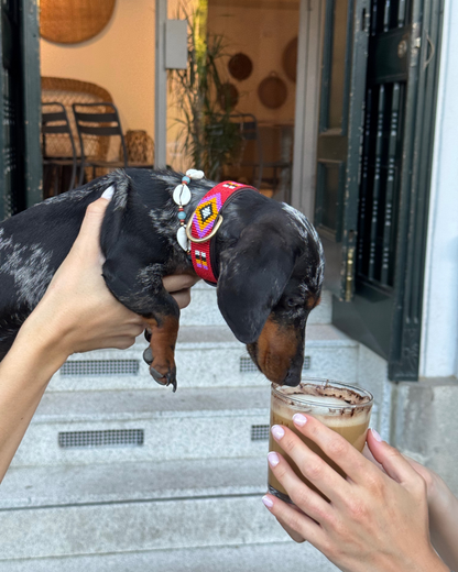collar-con-accesorio-conchas-teckel-alma-llama-rojo