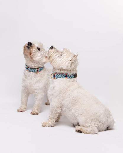 collar-de-perro-westies-beads-indigo-pipoca-dogwear