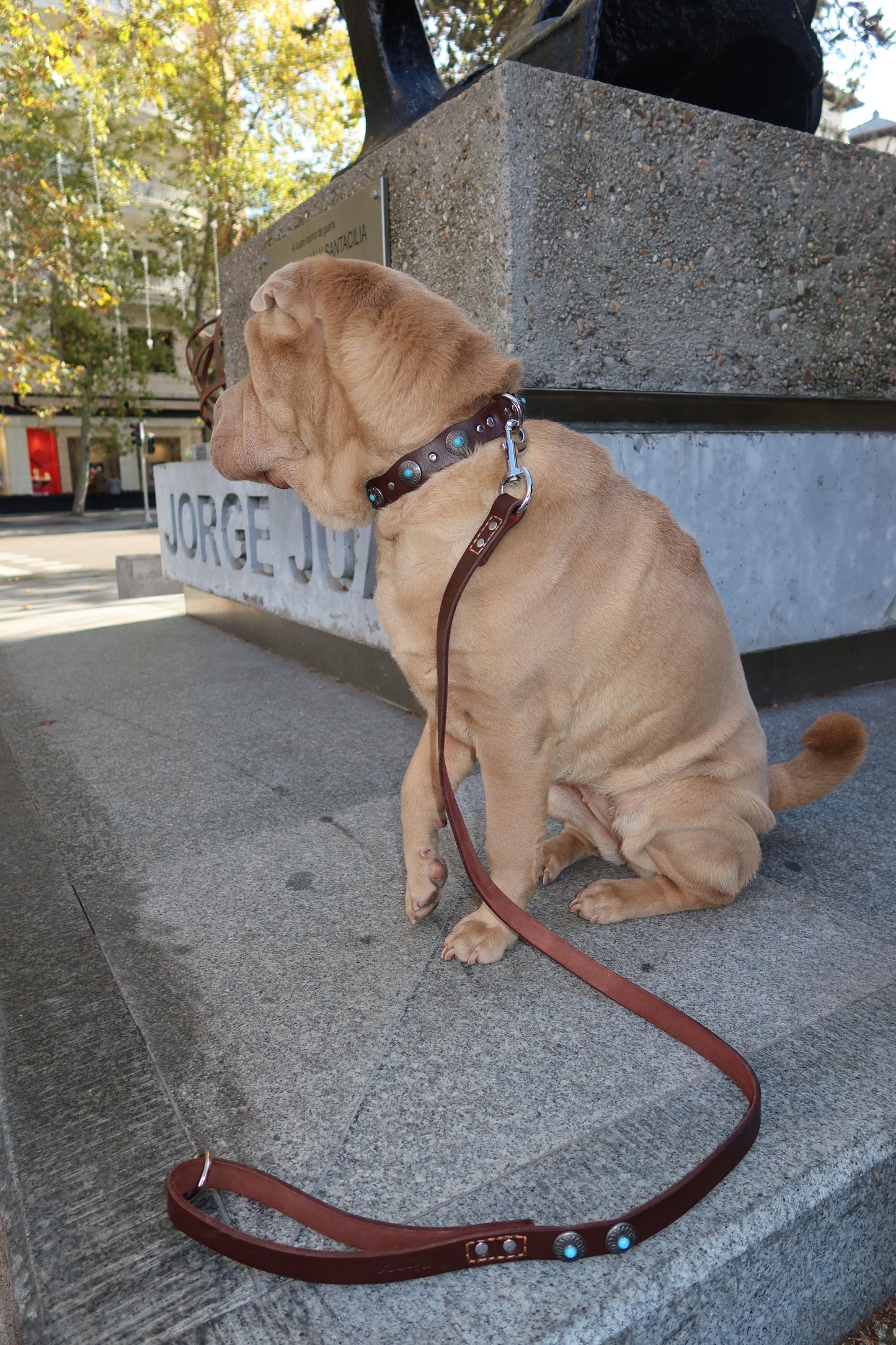 Correa Terra — Cuero con Tachuelas para Perro