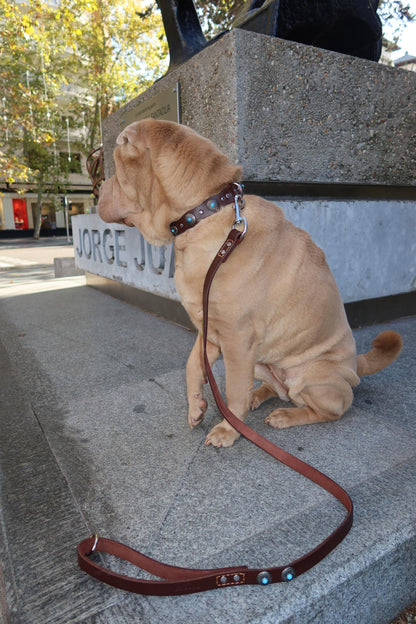 Correa Terra — Cuero con Tachuelas para Perro