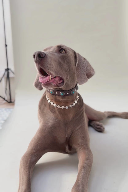 Pack: Tachuelas + Estrellas