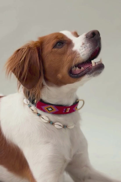 Pack: Collar Rojo + Conchas