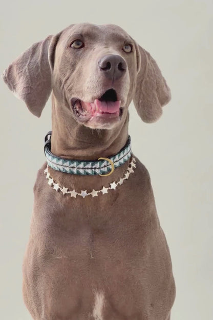 Collar de Beads Relíquia