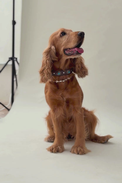 Collar de Tachuelas Turquesa