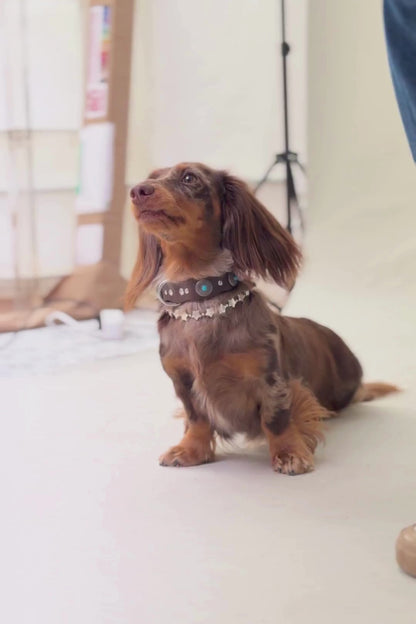 Collar Accesorio Estrellas Plateado