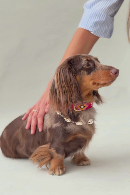 Pack: Collar Rojo + Conchas